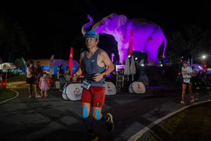 BIB: 
                            <button type="button" onclick="openModal(26552220)" class="btn btn-primary btn-sm float-right btn-popup" data-toggle="modal" data-target=".modal-high-quality">
                        <i class="fas fa-shopping-cart"></i> Add to Cart
                    </button>
                                            <button type="button" onclick="isThisMe(26552220, true)" class="btn btn-success btn-sm float-right btn-popup btn-isme hidden" data-toggle="tooltip" data-placement="bottom" title="นี่คือรูปของคุณใช่ไหม คลิกที่นี่เพื่อเอาเข้าอัลบั้ม">
                        <i class="fas fa-plus"></i> Add to album
                    </button>
                    <button type="button" onclick="isThisMe(26552220, false)" class="btn btn-warning btn-sm float-right btn-popup btn-isnotme hidden">
                        <i class="fas fa-ban"></i> Remove from album
                    </button>